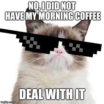 how moms are in the morning. | NO, I DID NOT HAVE MY MORNING COFFEE; DEAL WITH IT | image tagged in grumpy cat,coffee,dab,lol | made w/ Imgflip meme maker