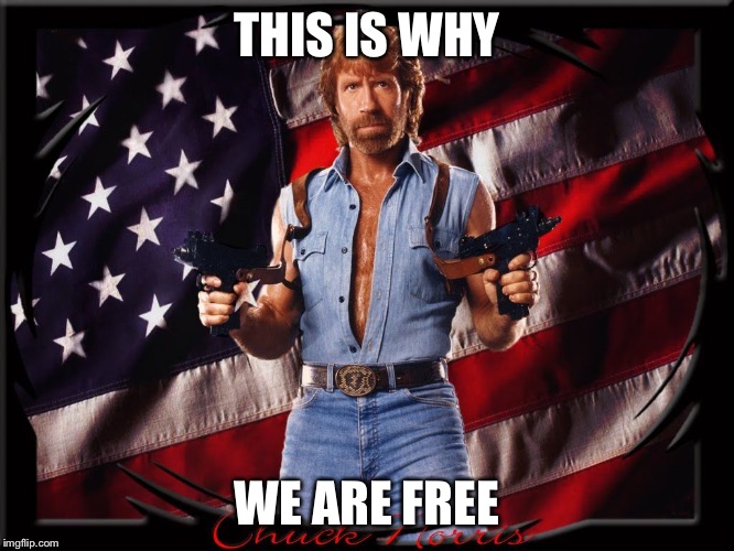 Chuck Norris US Flag | THIS IS WHY; WE ARE FREE | image tagged in chuck norris us flag | made w/ Imgflip meme maker