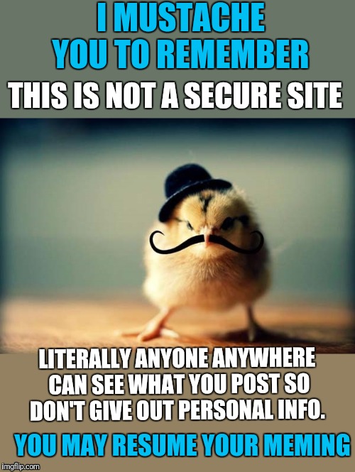 Sorry,  but the parent in me needs to say this to the young members here.  | I MUSTACHE YOU TO REMEMBER; THIS IS NOT A SECURE SITE; LITERALLY ANYONE ANYWHERE CAN SEE WHAT YOU POST SO DON'T GIVE OUT PERSONAL INFO. YOU MAY RESUME YOUR MEMING | image tagged in chicken - baby chick with mustache,welcome to the internets,safety first,be careful,have fun,meming | made w/ Imgflip meme maker