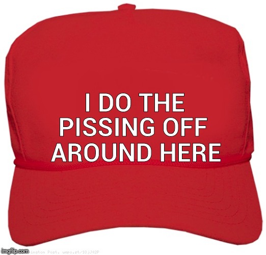 blank red MAGA hat | I DO THE AROUND HERE PISSING OFF | image tagged in blank red maga hat | made w/ Imgflip meme maker