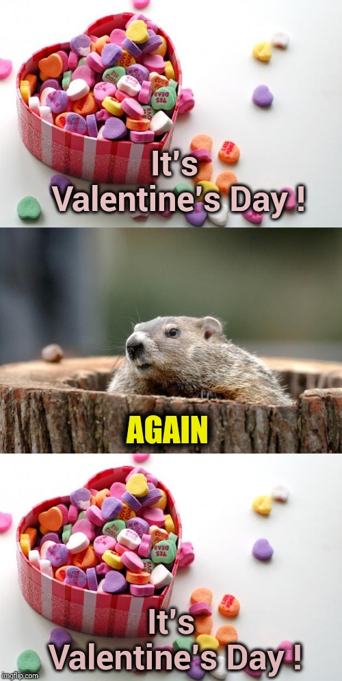 This would really be Nightmare | It's Valentine's Day ! AGAIN; It's Valentine's Day ! | image tagged in groundhog,valentine conversation hearts,get over it,new day,and everybody loses their minds | made w/ Imgflip meme maker