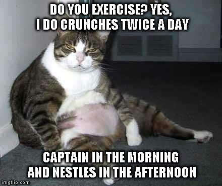 Fat cat | DO YOU EXERCISE? YES, I DO CRUNCHES TWICE A DAY; CAPTAIN IN THE MORNING AND NESTLES IN THE AFTERNOON | image tagged in fat cat | made w/ Imgflip meme maker