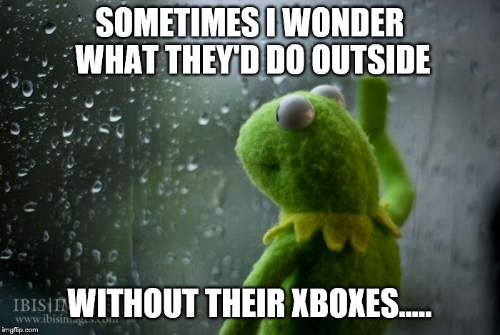 kermit window | SOMETIMES I WONDER WHAT THEY'D DO OUTSIDE WITHOUT THEIR XBOXES..... | image tagged in kermit window | made w/ Imgflip meme maker