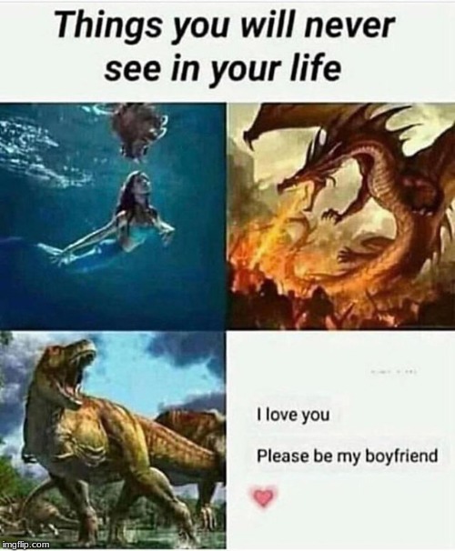 Things i will never see in my life | image tagged in memes,funny,mermaid,dragon,dinosaur,forever alone | made w/ Imgflip meme maker