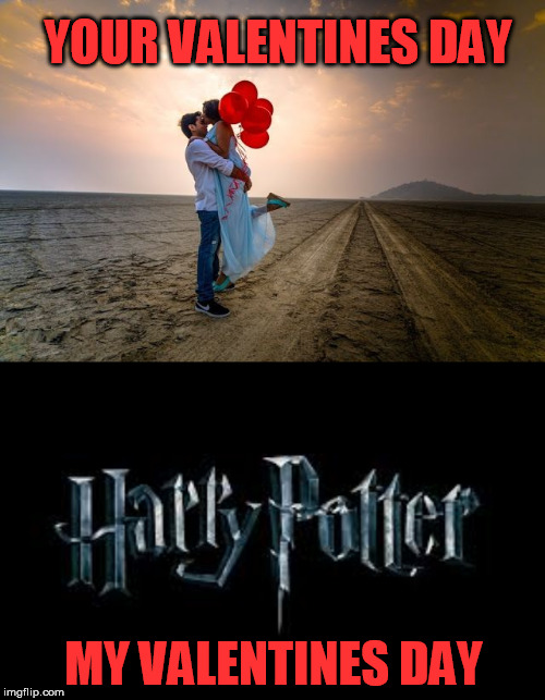 My kind of Valentines Day | YOUR VALENTINES DAY; MY VALENTINES DAY | image tagged in harry potter,valentine's day | made w/ Imgflip meme maker