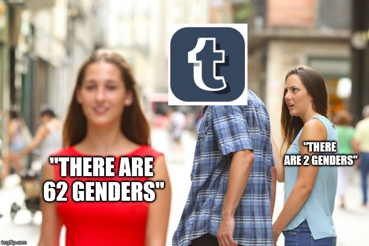 Distracted Boyfriend Meme | "THERE ARE 62 GENDERS" "THERE ARE 2 GENDERS" | image tagged in memes,distracted boyfriend | made w/ Imgflip meme maker