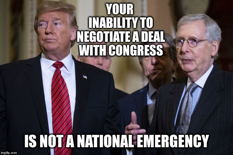 Trump wants to declare a national emergency because he can't negotiate  | YOUR INABILITY TO NEGOTIATE A DEAL WITH CONGRESS; IS NOT A NATIONAL EMERGENCY | image tagged in trump,humor,border wall,national emergency,negotiation,the art of the deal | made w/ Imgflip meme maker