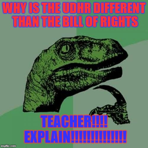 Philosoraptor Meme | WHY IS THE UDHR DIFFERENT THAN THE BILL OF RIGHTS; TEACHER!!!! EXPLAIN!!!!!!!!!!!!!! | image tagged in memes,philosoraptor | made w/ Imgflip meme maker