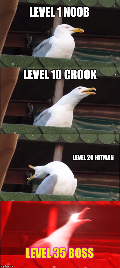 Inhaling Seagull | LEVEL 1 NOOB; LEVEL 10 CROOK; LEVEL 20 HITMAN; LEVEL 35 BOSS | image tagged in memes,inhaling seagull | made w/ Imgflip meme maker