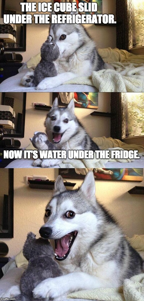 Bad Pun Dog Meme | THE ICE CUBE SLID UNDER THE REFRIGERATOR. NOW IT’S WATER UNDER THE FRIDGE. | image tagged in memes,bad pun dog | made w/ Imgflip meme maker