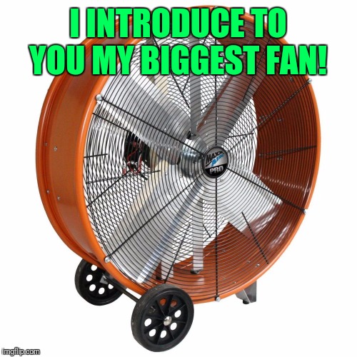 I INTRODUCE TO YOU MY BIGGEST FAN! | image tagged in my biggest fan | made w/ Imgflip meme maker