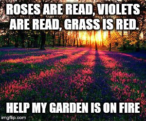 This is for RosesAreRed week. A no_i_dont_play_fortnite event. Not even on for one month and already a crappy event by me. Wow. | ROSES ARE READ, VIOLETS ARE READ, GRASS IS RED. HELP MY GARDEN IS ON FIRE | image tagged in roses are red | made w/ Imgflip meme maker