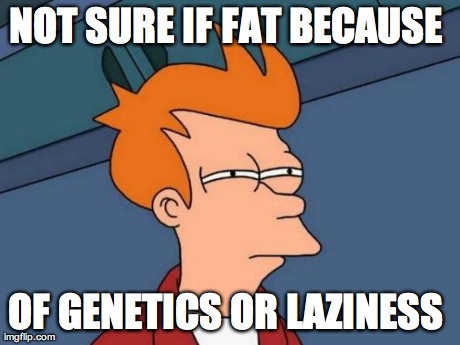 Futurama Fry Meme | NOT SURE IF FAT BECAUSE  OF GENETICS OR LAZINESS | image tagged in memes,futurama fry | made w/ Imgflip meme maker