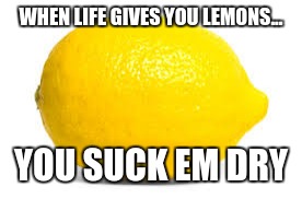 When life gives you lemons, X | WHEN LIFE GIVES YOU LEMONS... YOU SUCK EM DRY | image tagged in when life gives you lemons x | made w/ Imgflip meme maker