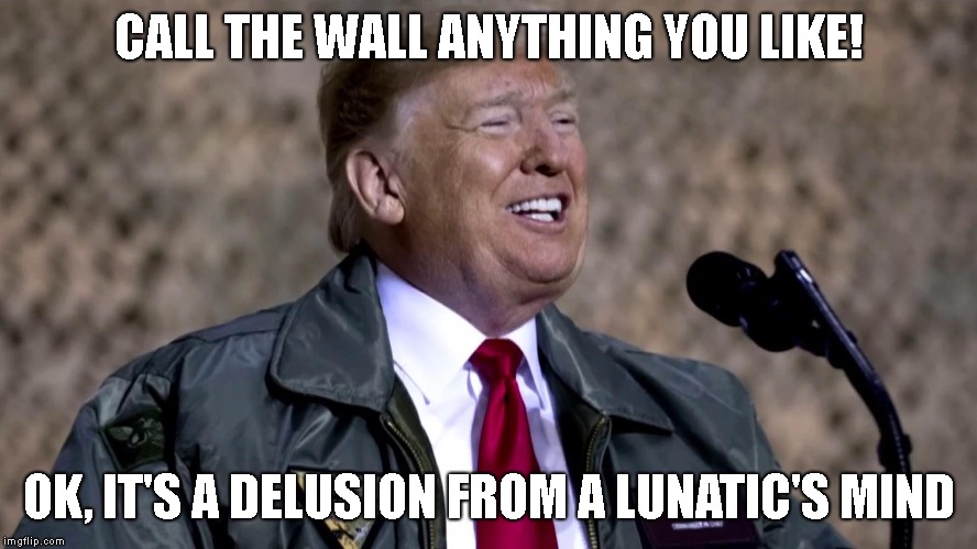 Build Those Peaches! | CALL THE WALL ANYTHING YOU LIKE! OK, IT'S A DELUSION FROM A LUNATIC'S MIND | image tagged in trump wall is stupid,crazy trump,impeach trump,no money for peaches | made w/ Imgflip meme maker