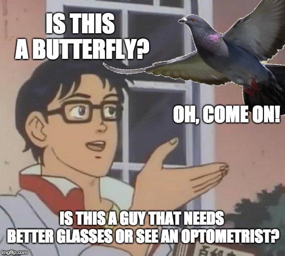 Is this a butterfly? | IS THIS A BUTTERFLY? OH, COME ON! IS THIS A GUY THAT NEEDS BETTER GLASSES OR SEE AN OPTOMETRIST? | image tagged in is this a pigeon,memes,funny,pigeon,glasses,anime | made w/ Imgflip meme maker