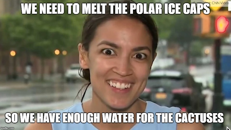 Alexandria Ocasio-Cortez | WE NEED TO MELT THE POLAR ICE CAPS; SO WE HAVE ENOUGH WATER FOR THE CACTUSES | image tagged in alexandria ocasio-cortez | made w/ Imgflip meme maker