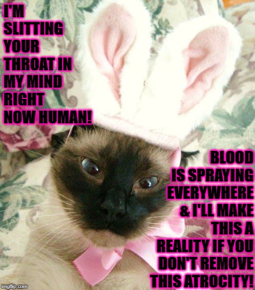 I'M SLITTING YOUR THROAT IN MY MIND RIGHT NOW HUMAN! BLOOD IS SPRAYING EVERYWHERE & I'LL MAKE THIS A REALITY IF YOU DON'T REMOVE THIS ATROCITY! | image tagged in throat cutter | made w/ Imgflip meme maker