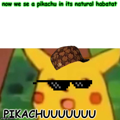Surprised Pikachu | now we se a pikachu in its natural habatat; PIKACHUUUUUUU | image tagged in memes,surprised pikachu | made w/ Imgflip meme maker