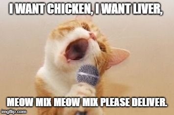 Meow mix please deliver | I WANT CHICKEN, I WANT LIVER, MEOW MIX MEOW MIX PLEASE DELIVER. | image tagged in cats,funny cats,cat singer | made w/ Imgflip meme maker