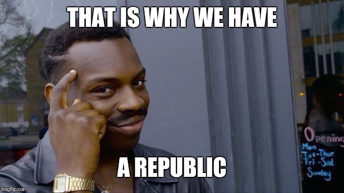Roll Safe Think About It Meme | THAT IS WHY WE HAVE A REPUBLIC | image tagged in memes,roll safe think about it | made w/ Imgflip meme maker