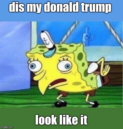 Mocking Spongebob | dis my donald trump; look like it | image tagged in memes,mocking spongebob | made w/ Imgflip meme maker