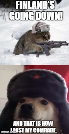 Shot by Finnish snow owl | FINLAND'S GOING DOWN! AND THAT IS HOW I LOST MY COMRADE. | image tagged in russian cat,russia,soviet union | made w/ Imgflip meme maker