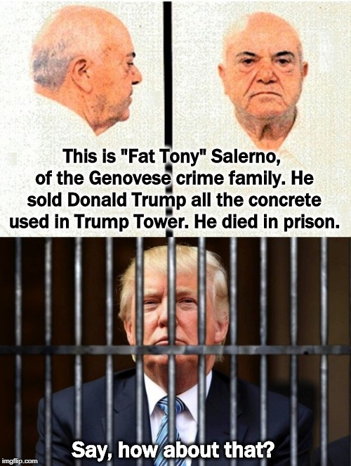 This is "Fat Tony" Salerno, of the Genovese crime family. He sold Donald Trump all the concrete used in Trump Tower. He died in prison. Say, how about that? | image tagged in fat tony salerno,trump,trump tower,prison,jail,lock him up | made w/ Imgflip meme maker