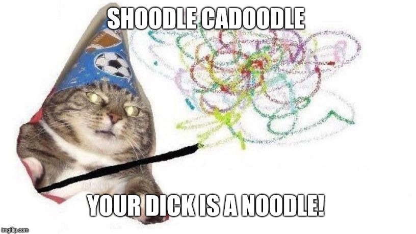 Wizard Cat | SHOODLE CADOODLE; YOUR DICK IS A NOODLE! | image tagged in wizard cat | made w/ Imgflip meme maker