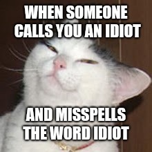 smug cat | WHEN SOMEONE CALLS YOU AN IDIOT; AND MISSPELLS THE WORD IDIOT | image tagged in smug cat | made w/ Imgflip meme maker