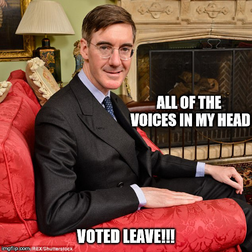 Jacob Reese Mogg | ALL OF THE VOICES IN MY HEAD; VOTED LEAVE!!! | image tagged in jacob reese mogg | made w/ Imgflip meme maker