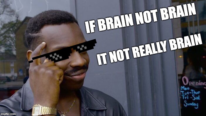 Roll Safe Think About It Meme | IF BRAIN NOT BRAIN; IT NOT REALLY BRAIN | image tagged in memes,roll safe think about it | made w/ Imgflip meme maker