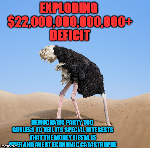 Ostrich | EXPLODING $22,000,000,000,000+ DEFICIT DEMOCRATIC PARTY TOO GUTLESS TO TELL ITS SPECIAL INTERESTS THAT THE MONEY FIESTA IS OVER AND AVERT EC | image tagged in ostrich | made w/ Imgflip meme maker