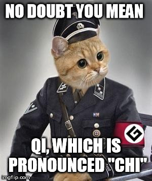 Grammar Nazi Cat | NO DOUBT YOU MEAN QI, WHICH IS PRONOUNCED "CHI" | image tagged in grammar nazi cat | made w/ Imgflip meme maker