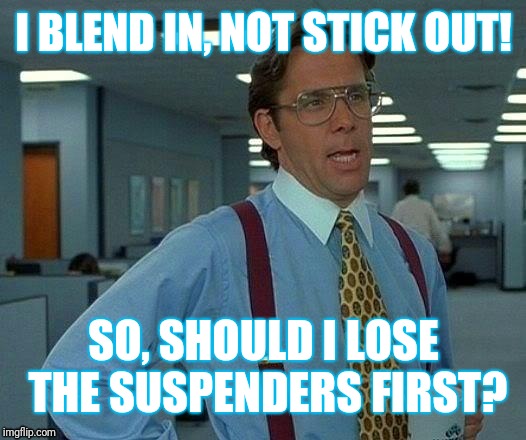 That Would Be Great | I BLEND IN, NOT STICK OUT! SO, SHOULD I LOSE THE SUSPENDERS FIRST? | image tagged in memes,that would be great | made w/ Imgflip meme maker