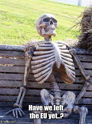 Waiting Skeleton Meme | Have we left the EU yet..? | image tagged in memes,waiting skeleton | made w/ Imgflip meme maker