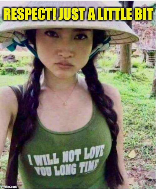 RESPECT! JUST A LITTLE BIT | image tagged in vietnam,women,respect | made w/ Imgflip meme maker