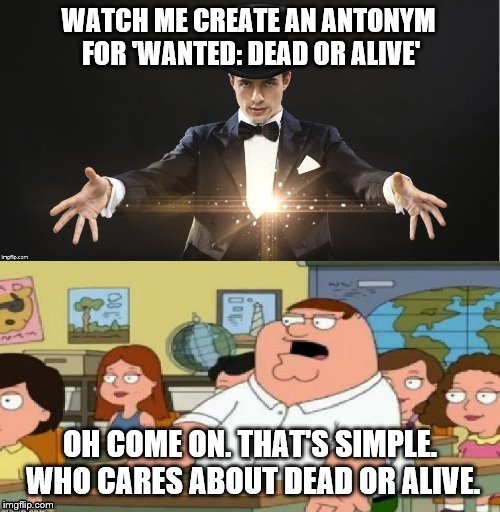 Peter Griffin Antonym Joke | image tagged in peter griffin stupid | made w/ Imgflip meme maker