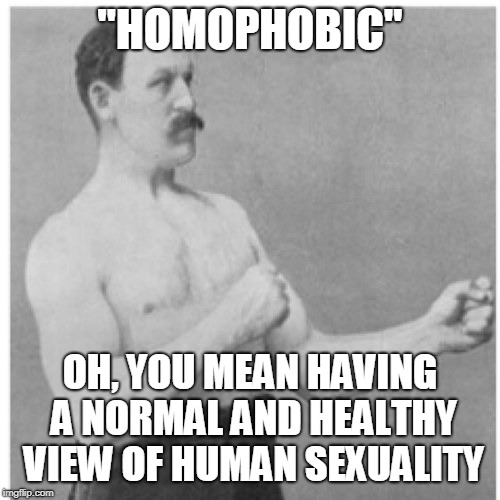 I'm tired of people using new terms to make things seem different to how they actually are. I don't know about you. | "HOMOPHOBIC"; OH, YOU MEAN HAVING A NORMAL AND HEALTHY VIEW OF HUMAN SEXUALITY | image tagged in memes,overly manly man,homophobia,propaganda,new world disorder,homosexuality is wrong | made w/ Imgflip meme maker