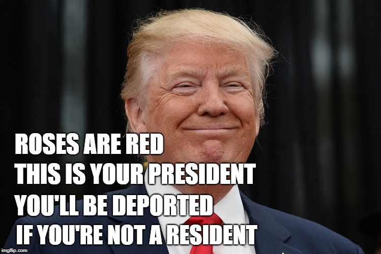 Roses Are Red | ROSES ARE RED; THIS IS YOUR PRESIDENT; YOU'LL BE DEPORTED; IF YOU'RE NOT A RESIDENT | image tagged in memes,maga,donald trump | made w/ Imgflip meme maker