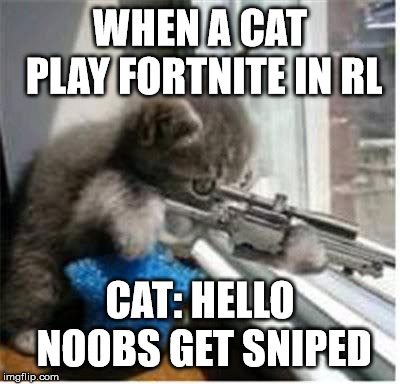 cats with guns | WHEN A CAT PLAY FORTNITE IN RL; CAT: HELLO NOOBS GET SNIPED | image tagged in cats with guns | made w/ Imgflip meme maker