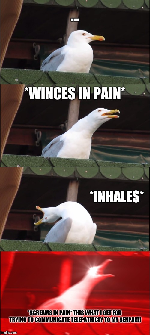 Inhaling Seagull Meme | ... *WINCES IN PAIN* *INHALES* *SCREAMS IN PAIN* THIS WHAT I GET FOR TRYING TO COMMUNICATE TELEPATHICLY TO MY SENPAI!!! | image tagged in memes,inhaling seagull | made w/ Imgflip meme maker