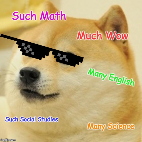 Doge Meme | Such Math; Much Wow; Many English; Such Social Studies; Many Science | image tagged in memes,doge | made w/ Imgflip meme maker