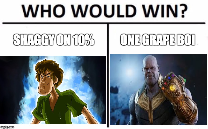 Shaggy On 10% | SHAGGY ON 10%; ONE GRAPE BOI | image tagged in funny memes | made w/ Imgflip meme maker
