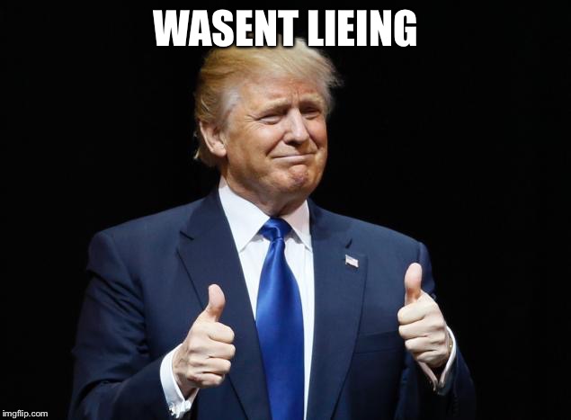 Donald Trump Thumbs Up | WASENT LIEING | image tagged in donald trump thumbs up | made w/ Imgflip meme maker