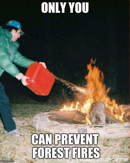 pouring gas on fire | ONLY YOU; CAN PREVENT FOREST FIRES | image tagged in pouring gas on fire | made w/ Imgflip meme maker