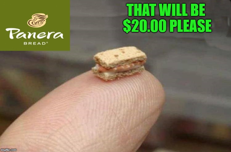 size matters | THAT WILL BE $20.00 PLEASE | image tagged in overpriced,panera bread | made w/ Imgflip meme maker