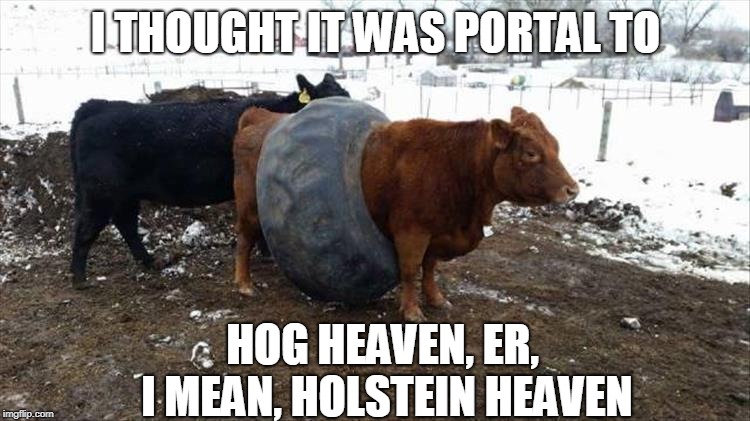 That Cow Appears to Be Very Tired... | I THOUGHT IT WAS PORTAL TO; HOG HEAVEN, ER, I MEAN, HOLSTEIN HEAVEN | image tagged in cow,tires | made w/ Imgflip meme maker
