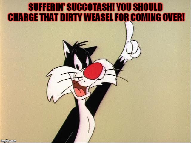 sylvester | SUFFERIN' SUCCOTASH! YOU SHOULD CHARGE THAT DIRTY WEASEL FOR COMING OVER! | image tagged in sylvester | made w/ Imgflip meme maker