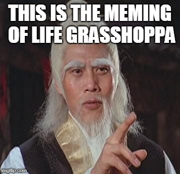 Wise Kung Fu Master | THIS IS THE MEMING OF LIFE GRASSHOPPA | image tagged in wise kung fu master | made w/ Imgflip meme maker